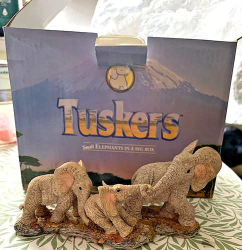 Tuskers diggin elephant - tuskers, in