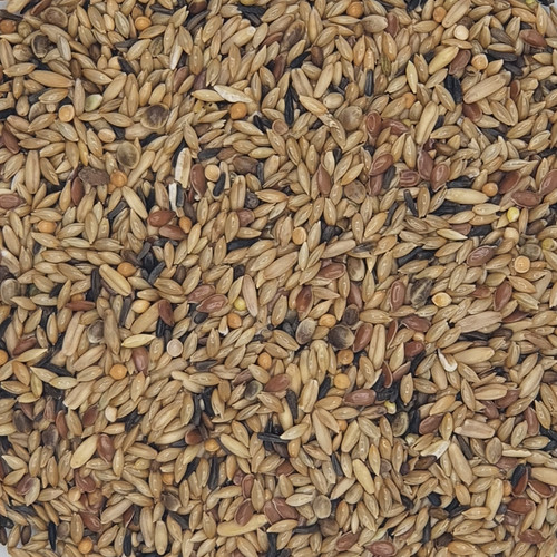 Gladen kanarien vogelfutter - kanarien,