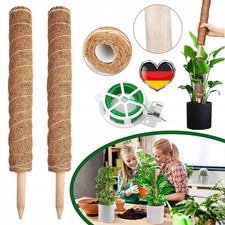 2x Pflanzstab Kokos Monstera
