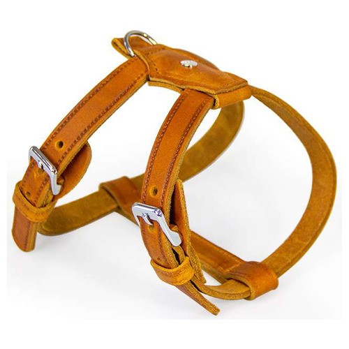 Das lederband hunde geschirr - lederband,