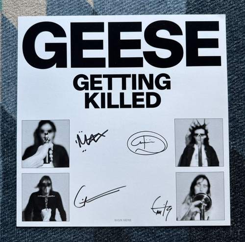 Geese signed art - print, by