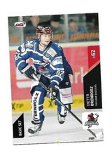 DEL Playercard - 15/16 BASIC