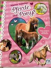 Meine liebsten Pferde und