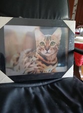 Hochwertiges 3D Effekt Bild