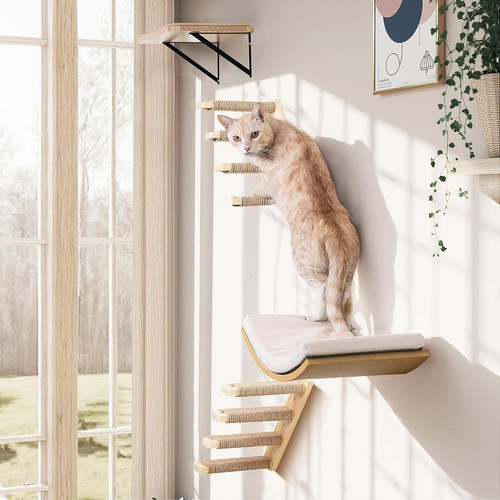 Katzen kletterwand set - katzen,