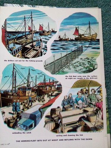 Pl8 ephemera 60er jahre - pl8,