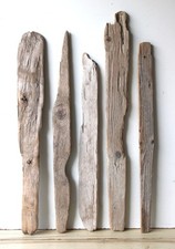 Treibholz Schwemmholz