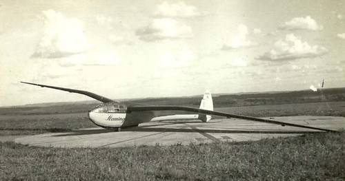 Flamingo segelflugzeug - hw-4, flamingo.