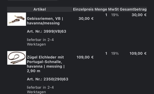 Gebissriemen und - gebissriemen,
