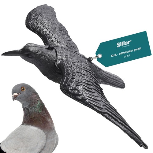 Großer rabe flug - im,
