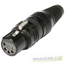 HICON 5-pol XLR female Stecker