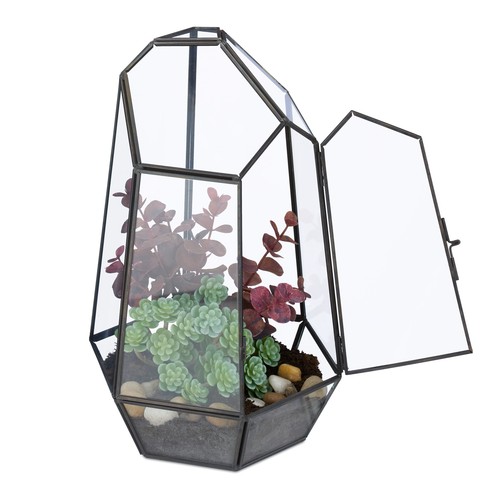 Pflanzenterrarium glaskasten - pflanzenterrarium,