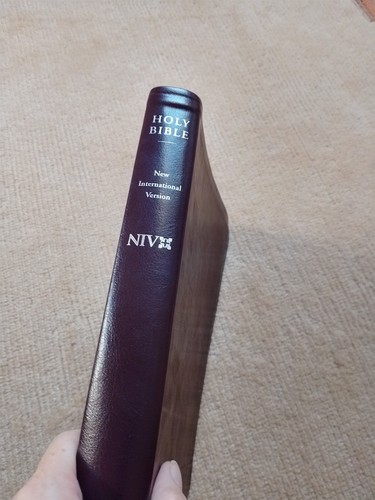 New international version - new,