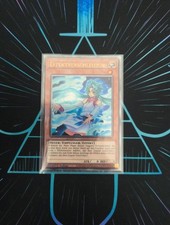 Effektverschleierin RA04-DE004