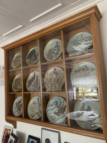Vitrine mit tellern - vitrine,