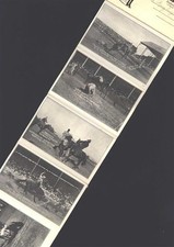 13807181 - Pendleton Round-Up  Leporello  16 Ansichten jeweils 8 Vorder- und