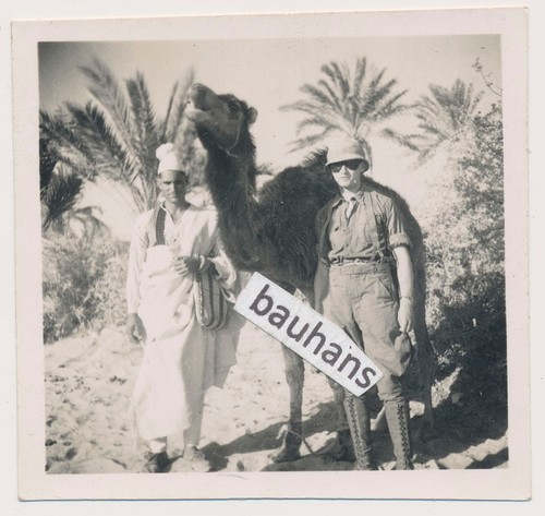 Foto afrikakorps dak - afrikakorps,