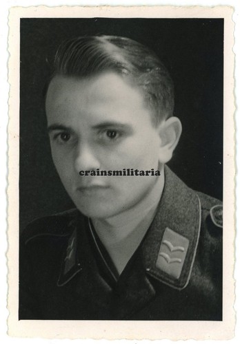 Orig foto portrait - foto, nachtjagd