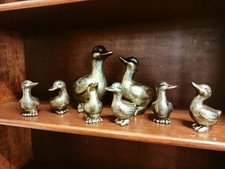 Aparte Entenfamilie Ente