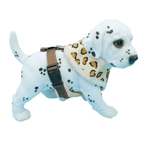 Hundegeschirr kleine