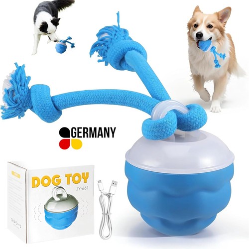 Interaktiver hundespielzeug - interaktiver,