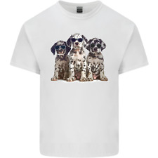 3 Coole Dalmatiner Welpen