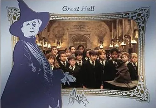Harry potter limited edition - ,