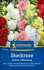 Stockrose * Chater`s Mischung * MHD 01/28 Bauerngarten Kiepenkerl Samen 1017850