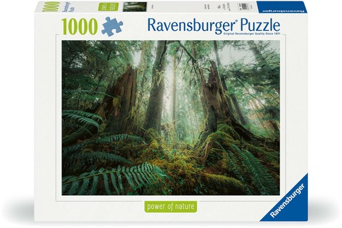 1000 teile ravensburger - teile, puzzle