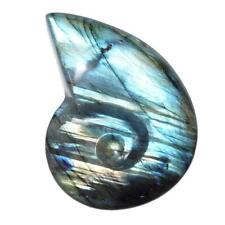 Labradorit in Ammonit