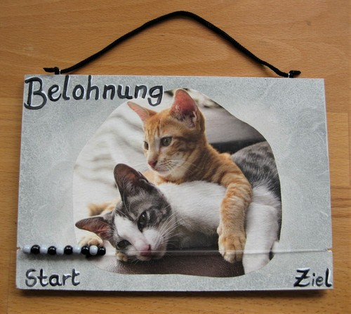 Belohnungstafel katerfreunde - belohnungstafel, "katerfreunde"
