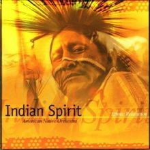 Indian Spirit von American