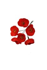 Mohnblumen Bund 12cm kleine