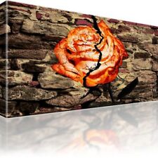 Rose Abstrakt Mauer Bild auf Leinwand Digitalart Einteilige Wandbilder