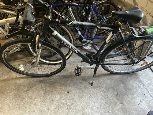 Pegasus fahrrad zoll herren - fahrrad,