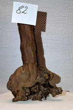 Weinstock Treibholz Bastelholz