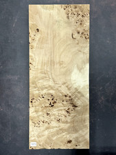 Maser Pappel | Burl poplar Top