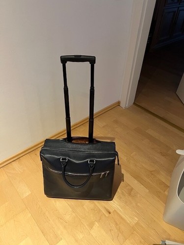 Blauer - ,