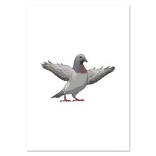 Wandposter / Drucke "Taube mit