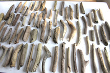 Schwemmholz Treibholz  60 Minis  L 9-20 cm   1050 g Treibgut Werkstatt BodenSee