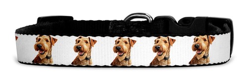 Hundehalsband aus textil - aus, mit