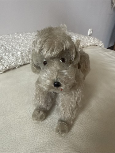 Rarität steiff pudel - steiff,