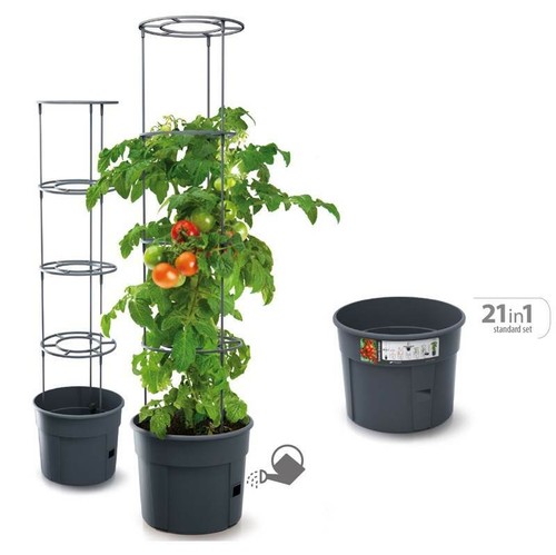 Blumentopf tomatentopf topf - blumentopf,