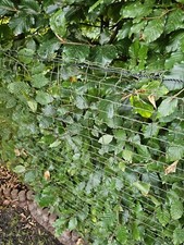 Schutznetz Mit Drahtverstärkung