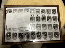 Molar Kronen Kit Set Dental #1