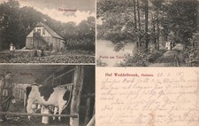AK Hof Weddelbrook Holstein