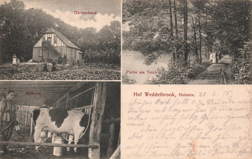 Hof weddelbrook holstein - weddelbrook,