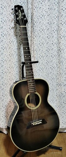 Takamine 105 akustische - pt-105,