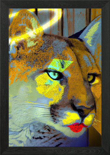 Dead bowie cougar framed - bowie,