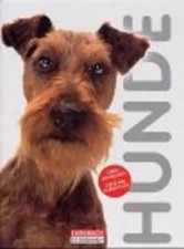 Hunde - Tetsu Yamazaki